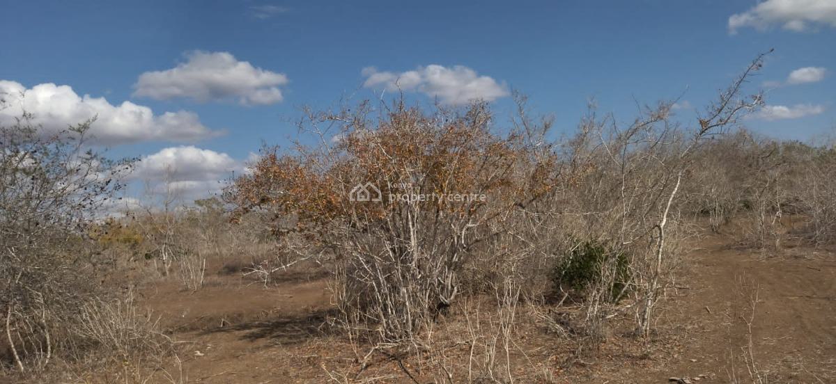 30 Acres in Malindi Adu Virgin Land, Adu, Malindi Town, Kilifi, Land for Sale