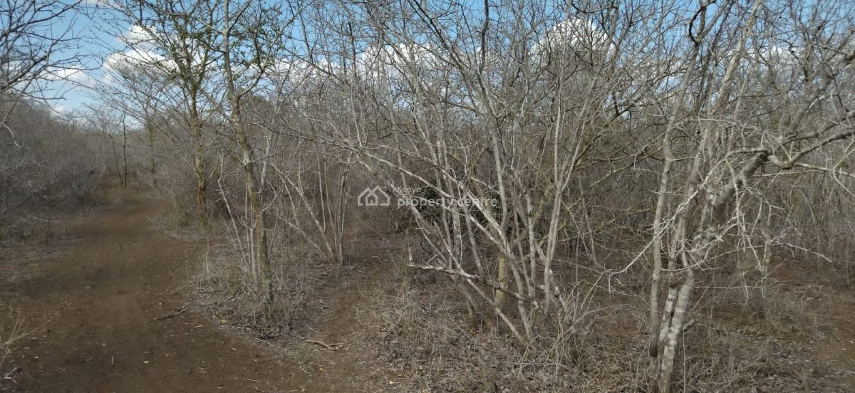 30 Acres in Malindi Adu Virgin Land, Adu, Malindi Town, Kilifi, Land for Sale