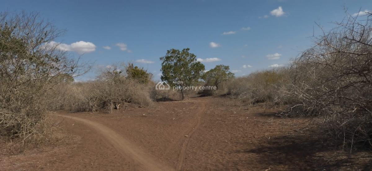 30 Acres in Malindi Adu Virgin Land, Adu, Malindi Town, Kilifi, Land for Sale
