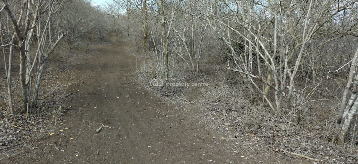 30 Acres in Malindi Adu Virgin Land, Adu, Malindi Town, Kilifi, Land for Sale