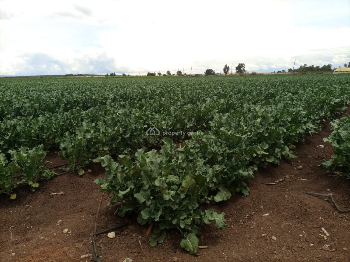 Muramati, Muramati, Nanyuki, Laikipia, Mixed-use Land for Sale