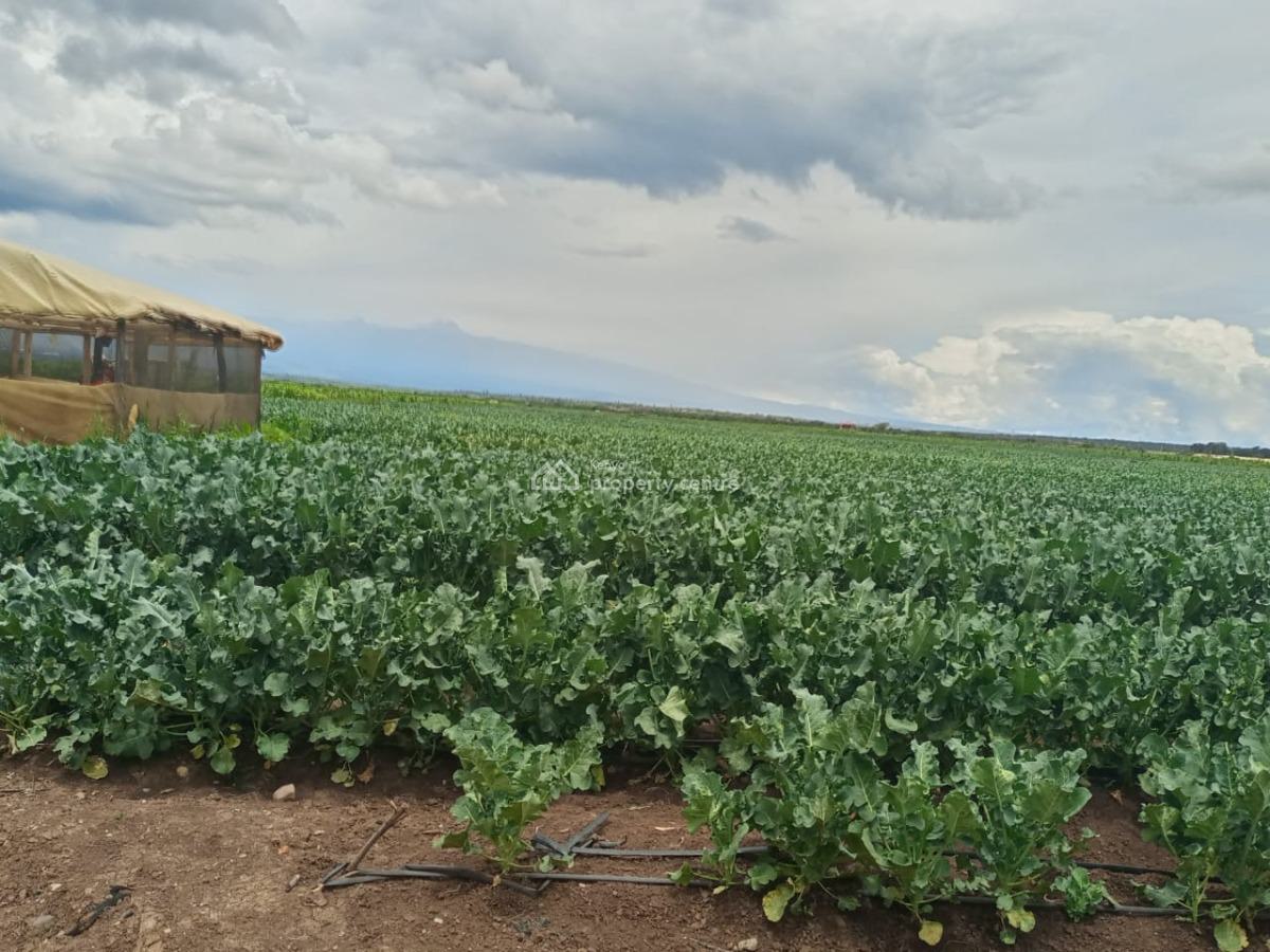 Muramati, Muramati, Nanyuki, Laikipia, Mixed-use Land for Sale