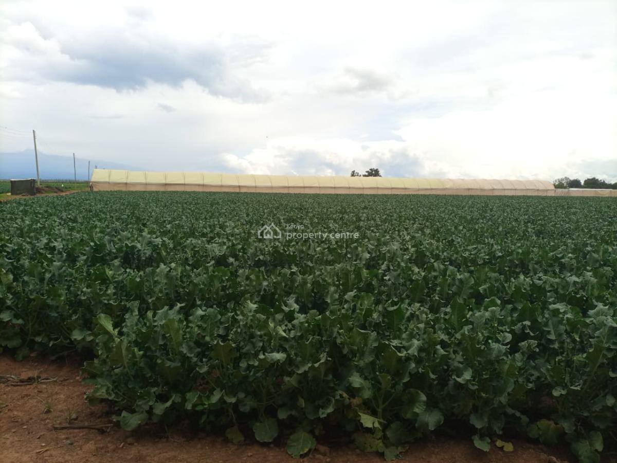 Muramati, Muramati, Nanyuki, Laikipia, Mixed-use Land for Sale