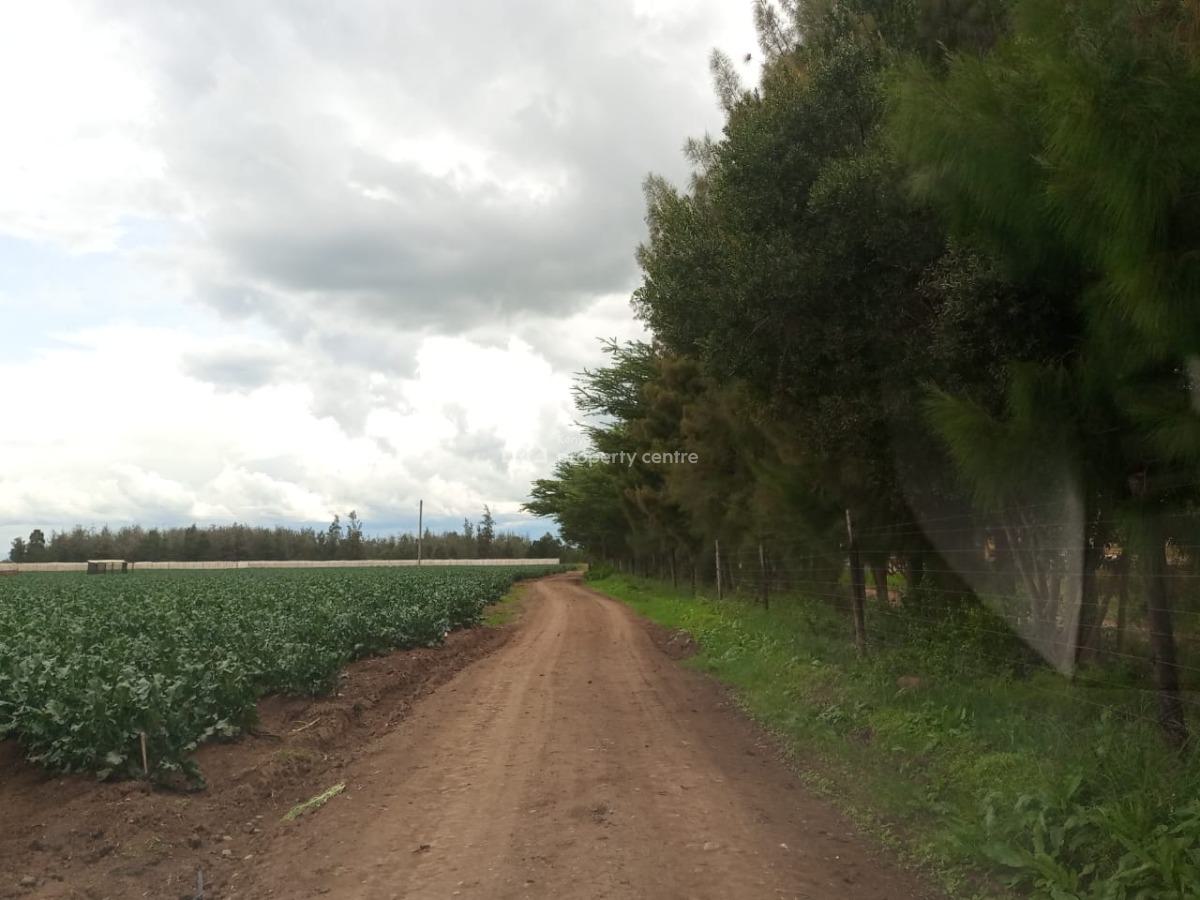Muramati, Muramati, Nanyuki, Laikipia, Mixed-use Land for Sale