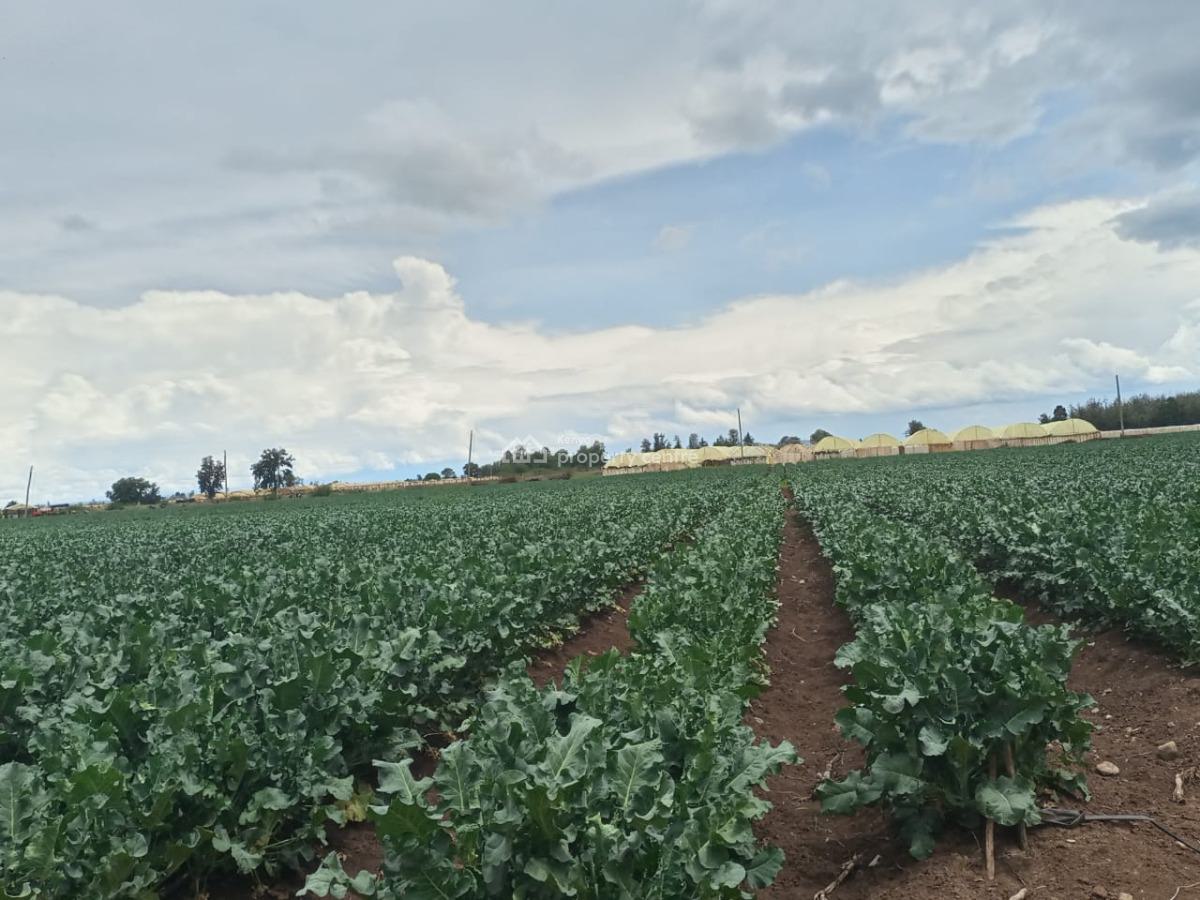 Muramati, Muramati, Nanyuki, Laikipia, Mixed-use Land for Sale