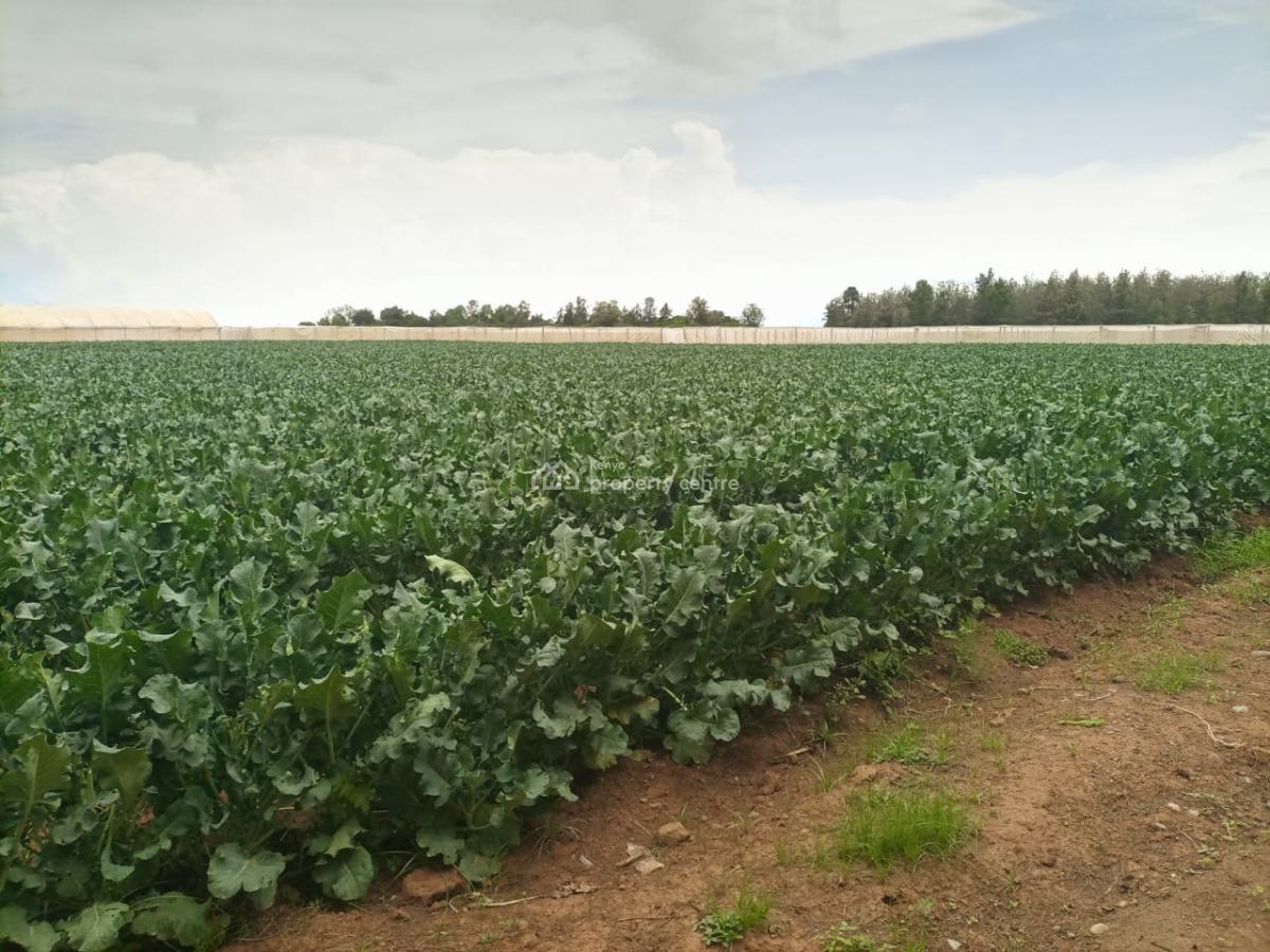 Muramati, Muramati, Nanyuki, Laikipia, Mixed-use Land for Sale