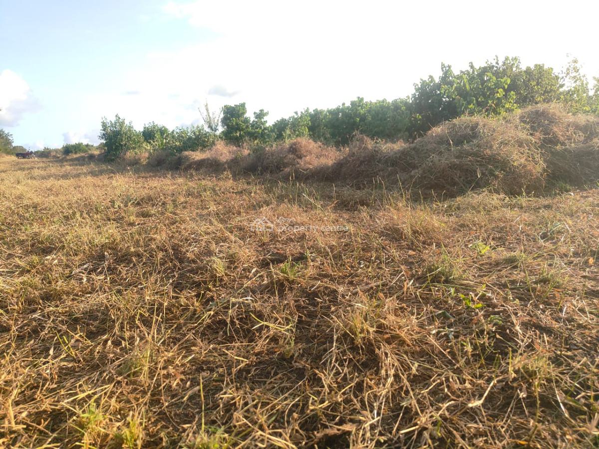Affordable Farm Land in Malindi, Malindi, Marereni, Adu, Kilifi, Mixed-use Land for Sale