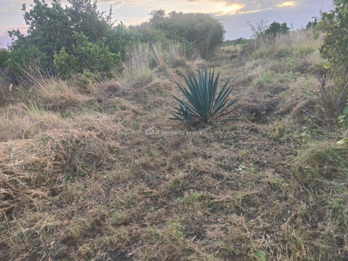 Affordable Farm Land in Malindi, Malindi, Marereni, Adu, Kilifi, Mixed-use Land for Sale