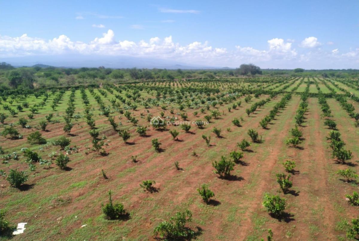 Premium 15--19 Acre Farms --- Mata, Taveta, Just 8 Km From Taveta Town and Only 7 Km From Scenic Lake Jipe., Mata, Taita Taveta, Land for Sale
