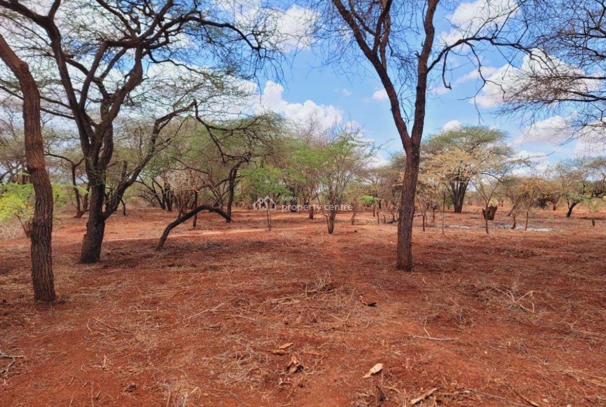 Premium 15--19 Acre Farms --- Mata, Taveta, Just 8 Km From Taveta Town and Only 7 Km From Scenic Lake Jipe., Mata, Taita Taveta, Land for Sale