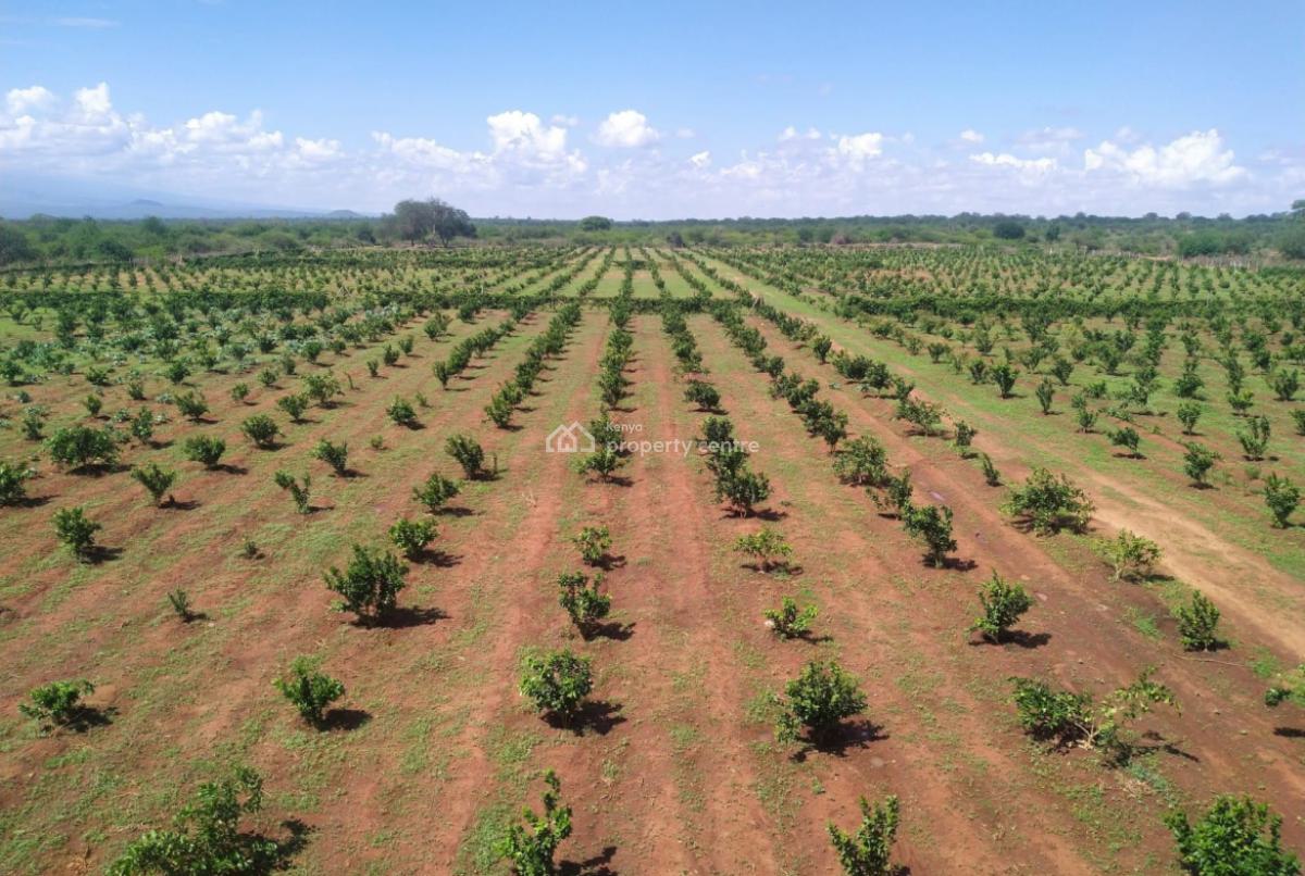 Premium 15--19 Acre Farms --- Mata, Taveta, Just 8 Km From Taveta Town and Only 7 Km From Scenic Lake Jipe., Mata, Taita Taveta, Land for Sale