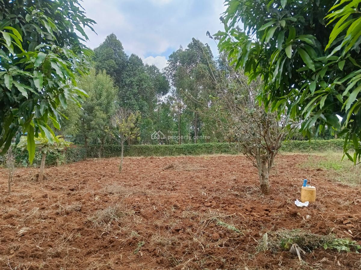 Build Your Dream Home Here!, Lussingetti, Kikuyu, Kiambu, Residential Land for Sale