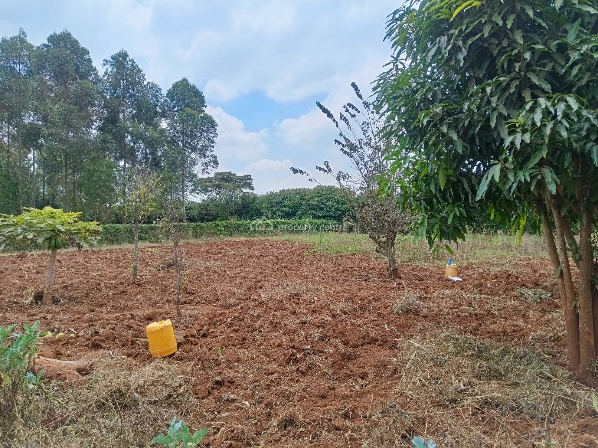 Build Your Dream Home Here!, Lussingetti, Kikuyu, Kiambu, Residential Land for Sale