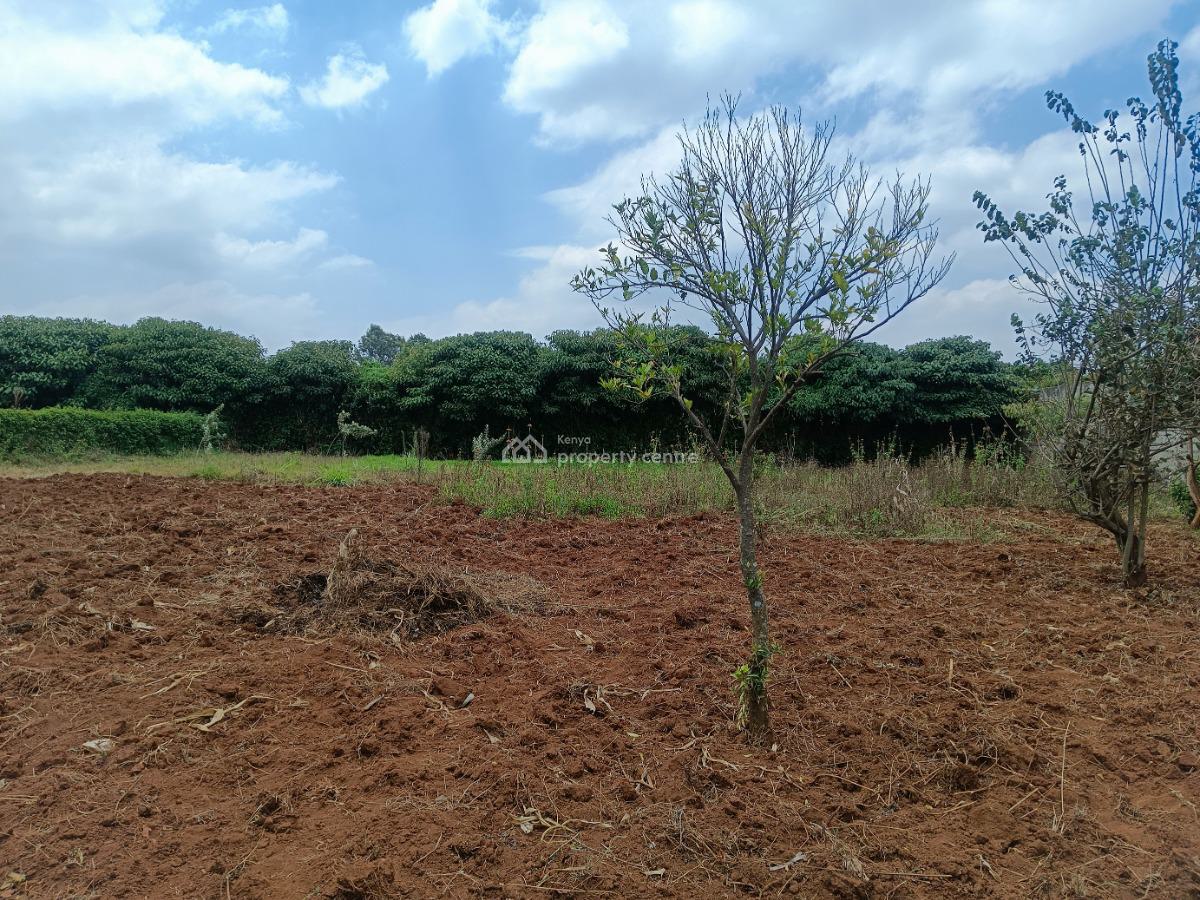 Build Your Dream Home Here!, Lussingetti, Kikuyu, Kiambu, Residential Land for Sale