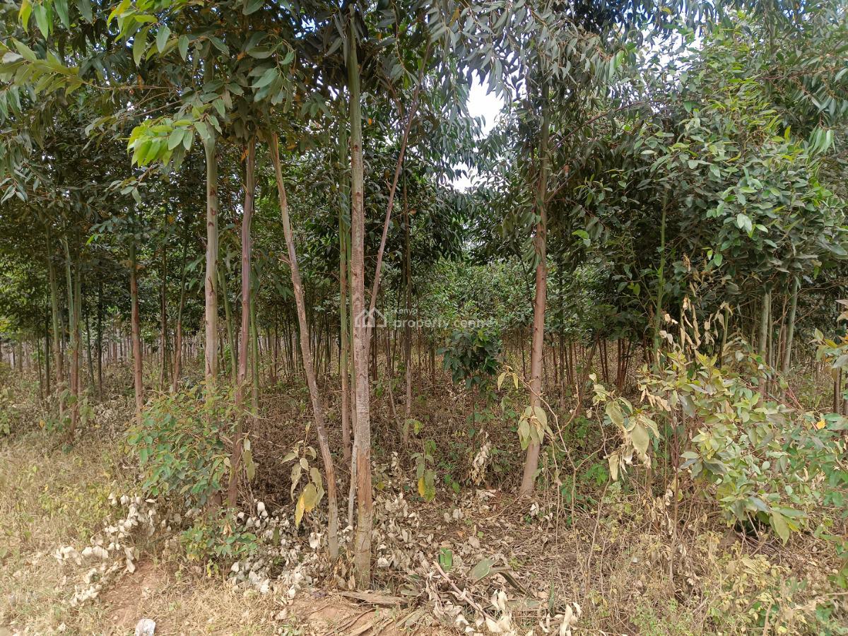 Prime One Acre Development Land Available!, Kamangu, Kikuyu, Kiambu, Residential Land for Sale