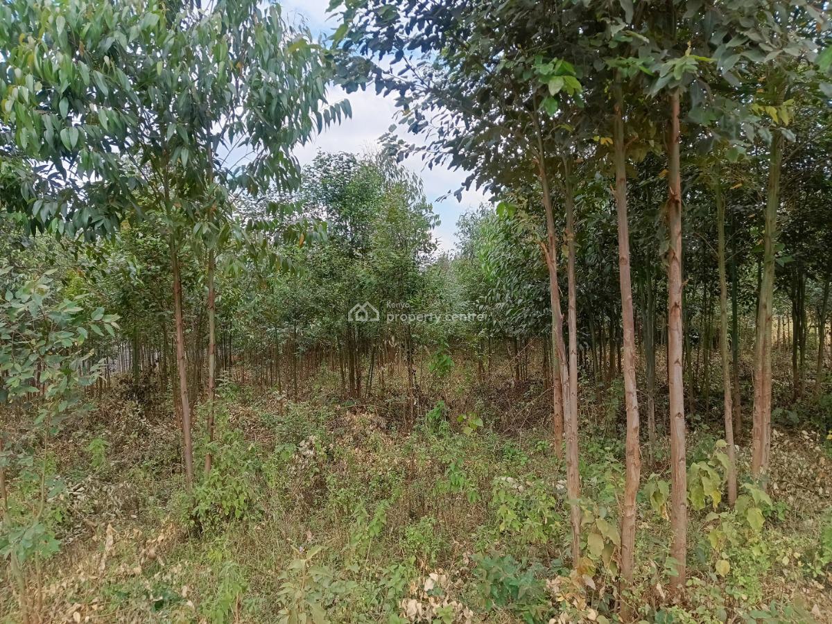Prime One Acre Development Land Available!, Kamangu, Kikuyu, Kiambu, Residential Land for Sale