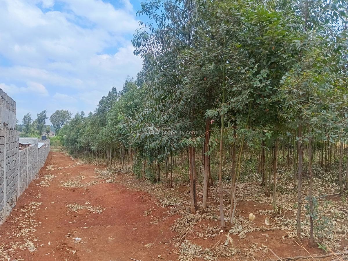 Prime One Acre Development Land Available!, Kamangu, Kikuyu, Kiambu, Residential Land for Sale