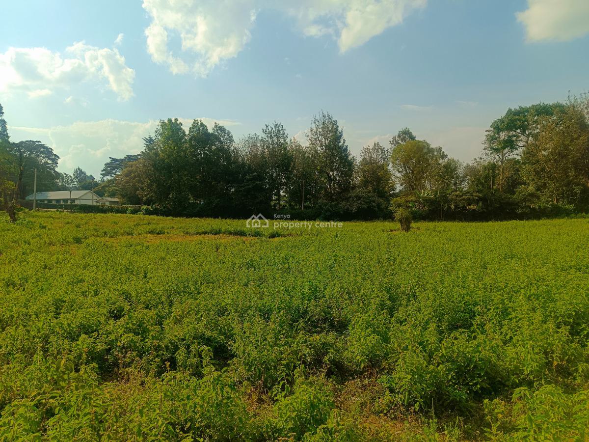 Ready to Build Residential Plots!, Thogoto Teachers College Neighborhood, Kikuyu, Kiambu, Residential Land for Sale