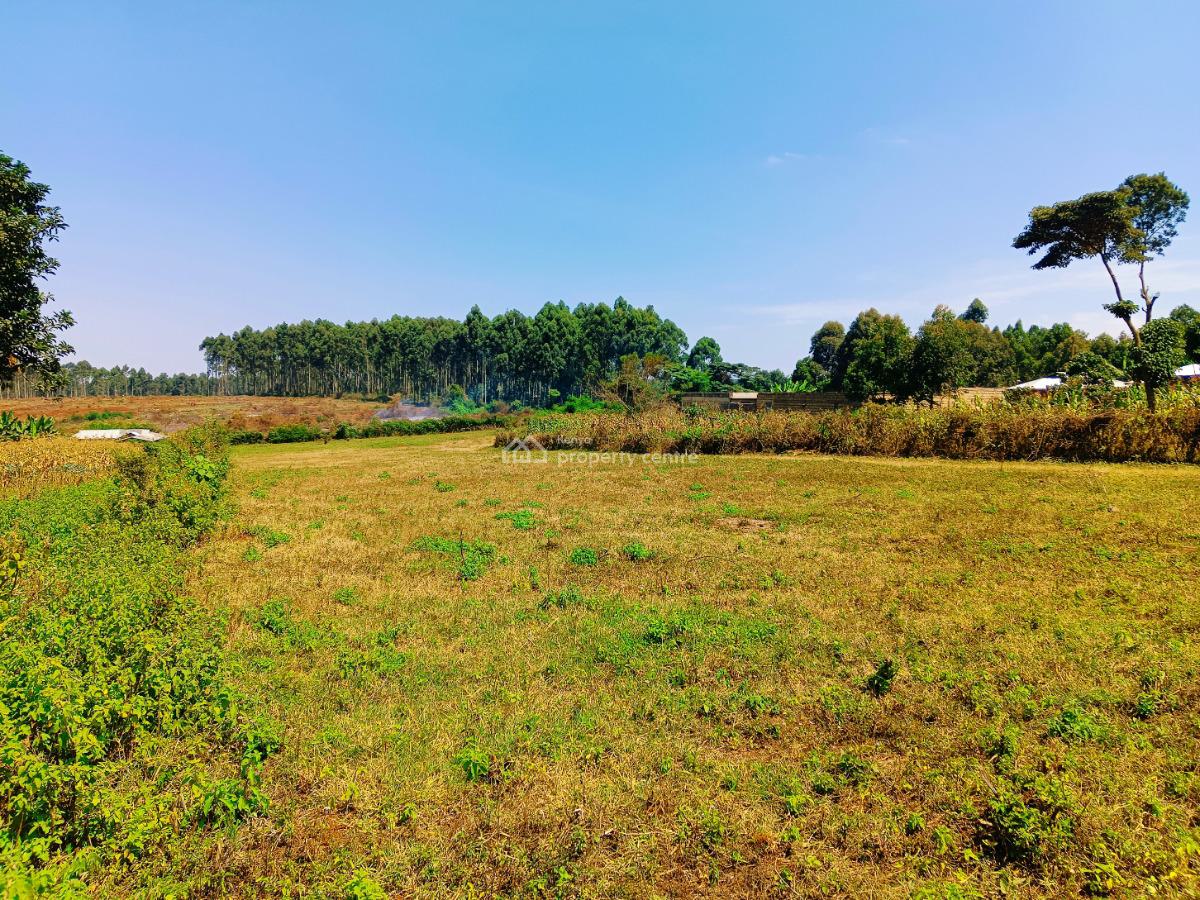 Ready to Build Residential 1/4-acre Plot, Damacrest School Neighborhood, Thogoto, Kikuyu, Kiambu, Residential Land for Sale