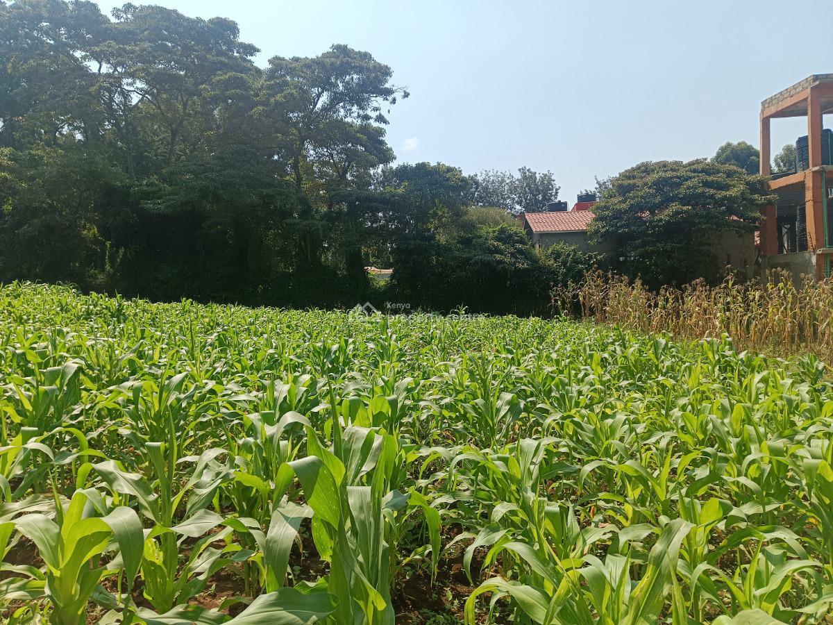 Serviced Gated Community Plot Available!, Riu-plainsview Estate, Gikambura, Kikuyu, Kiambu, Residential Land for Sale