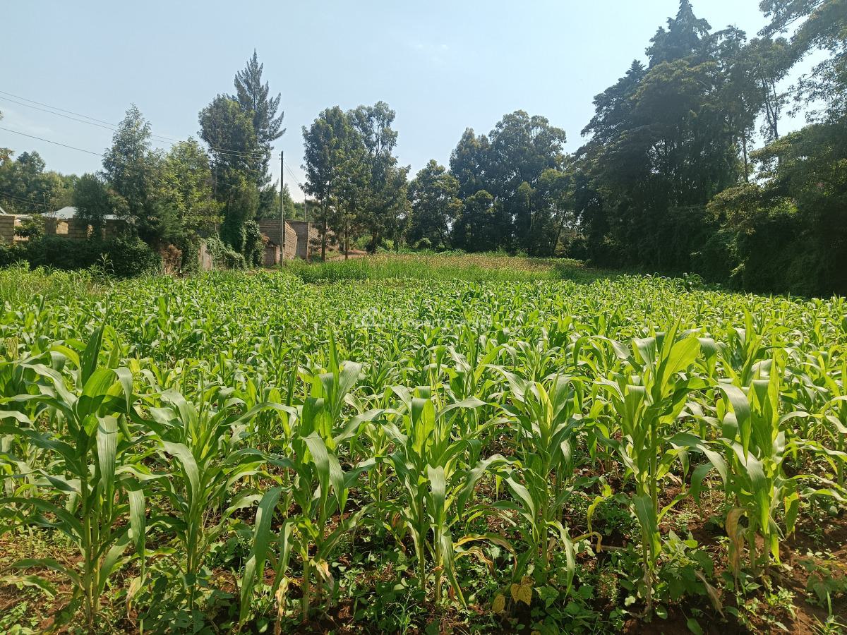 Serviced Gated Community Plot Available!, Riu-plainsview Estate, Gikambura, Kikuyu, Kiambu, Residential Land for Sale