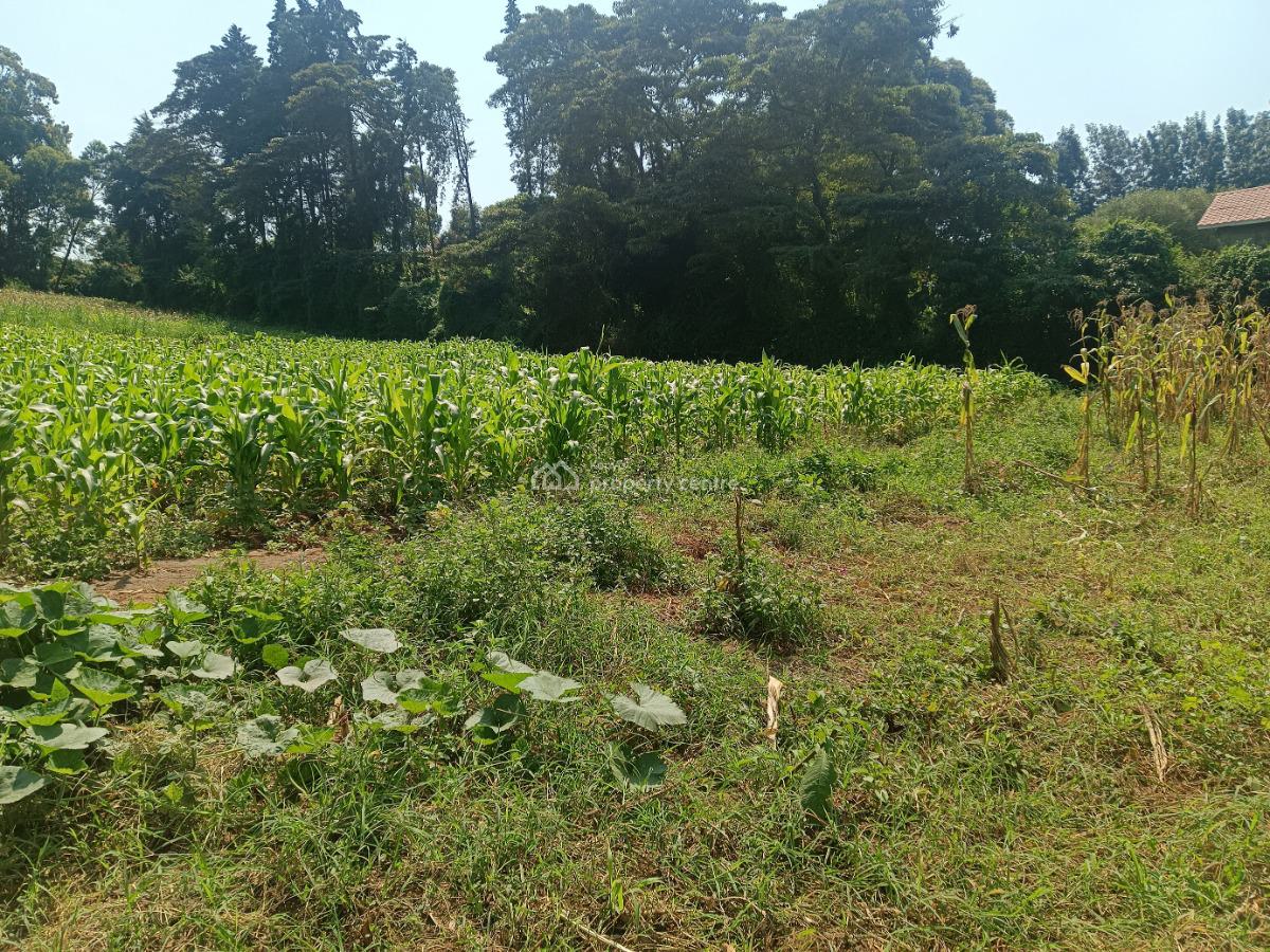 Serviced Gated Community Plot Available!, Riu-plainsview Estate, Gikambura, Kikuyu, Kiambu, Residential Land for Sale