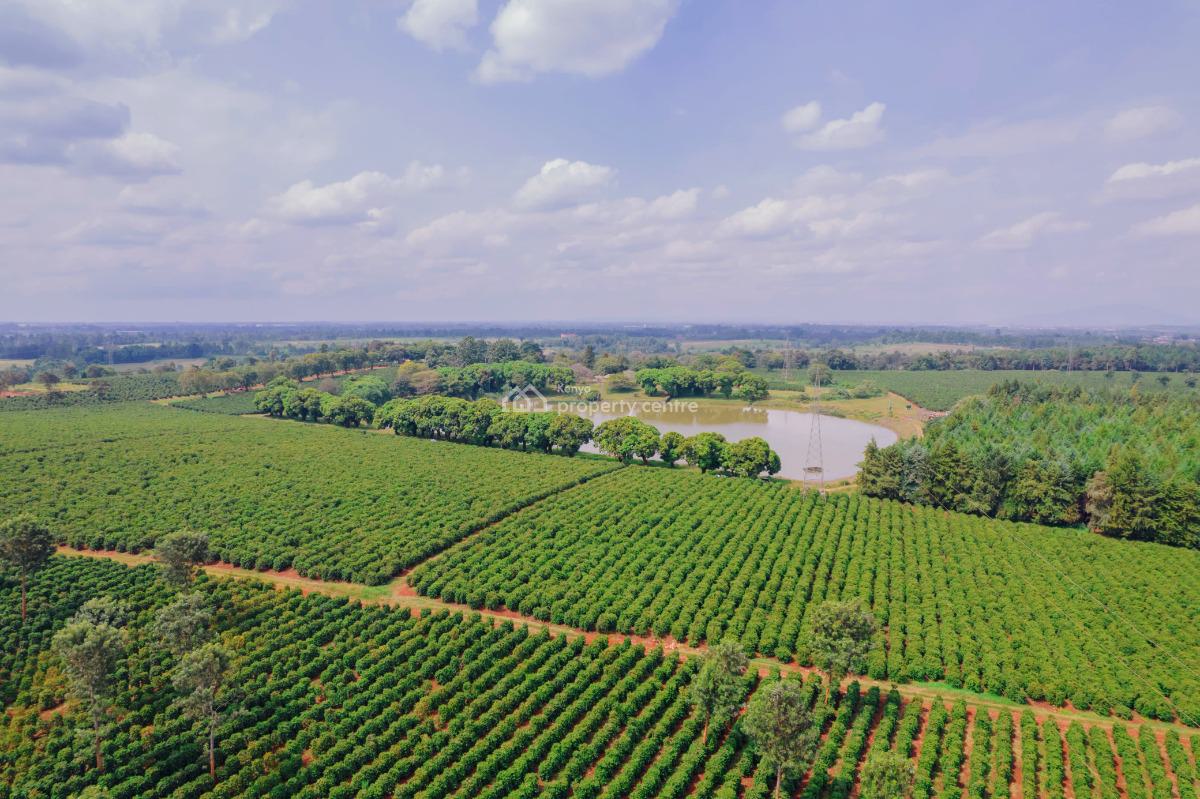 Build Your Forever Home in a Safe, Green Estate Near Nairobi, Zuri Springs Estate, Juja, Kiambu, Residential Land for Sale