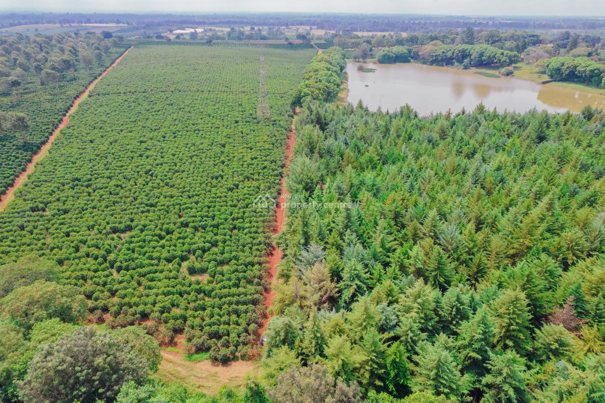 Build Your Forever Home in a Safe, Green Estate Near Nairobi, Zuri Springs Estate, Juja, Kiambu, Residential Land for Sale