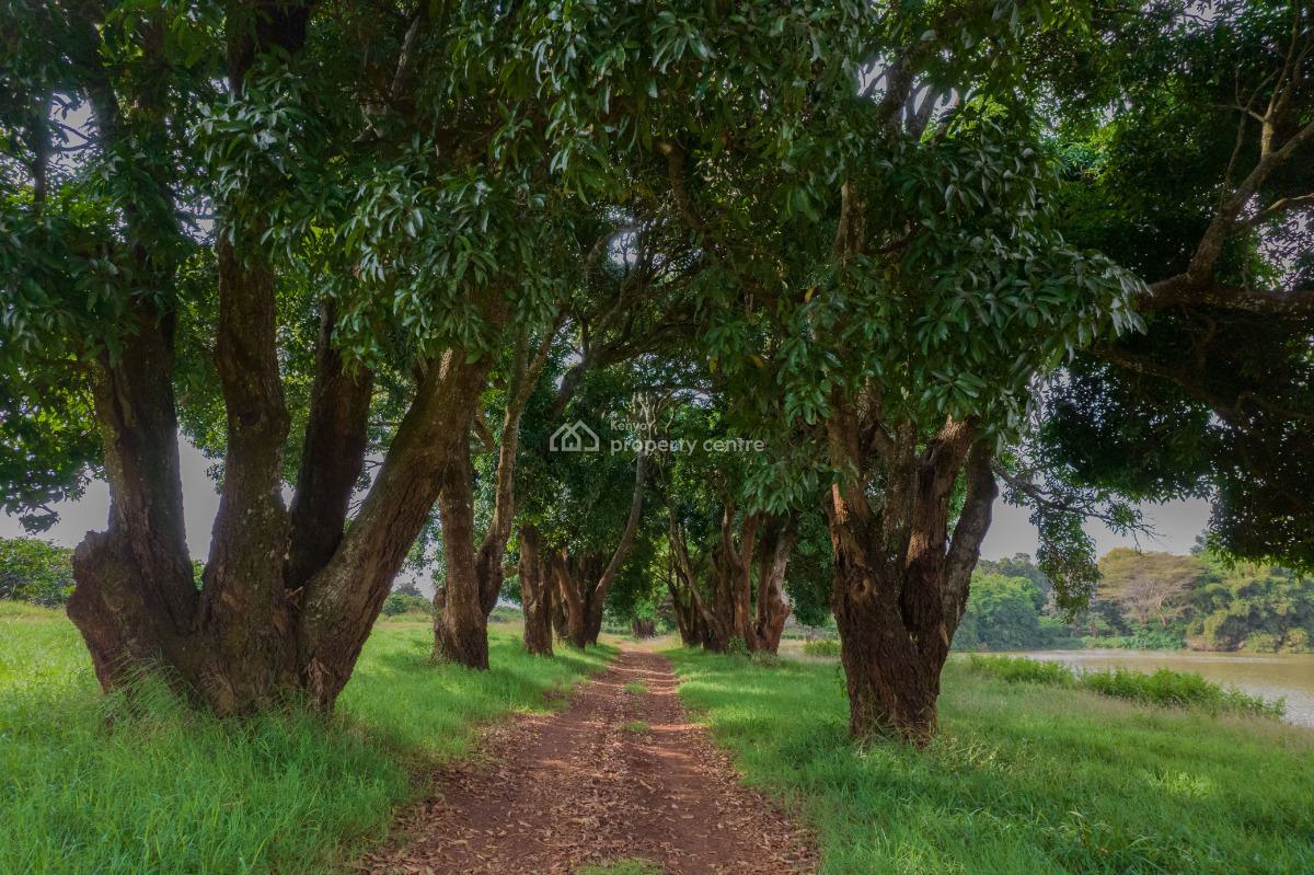 Build Your Forever Home in a Safe, Green Estate Near Nairobi, Zuri Springs Estate, Juja, Kiambu, Residential Land for Sale
