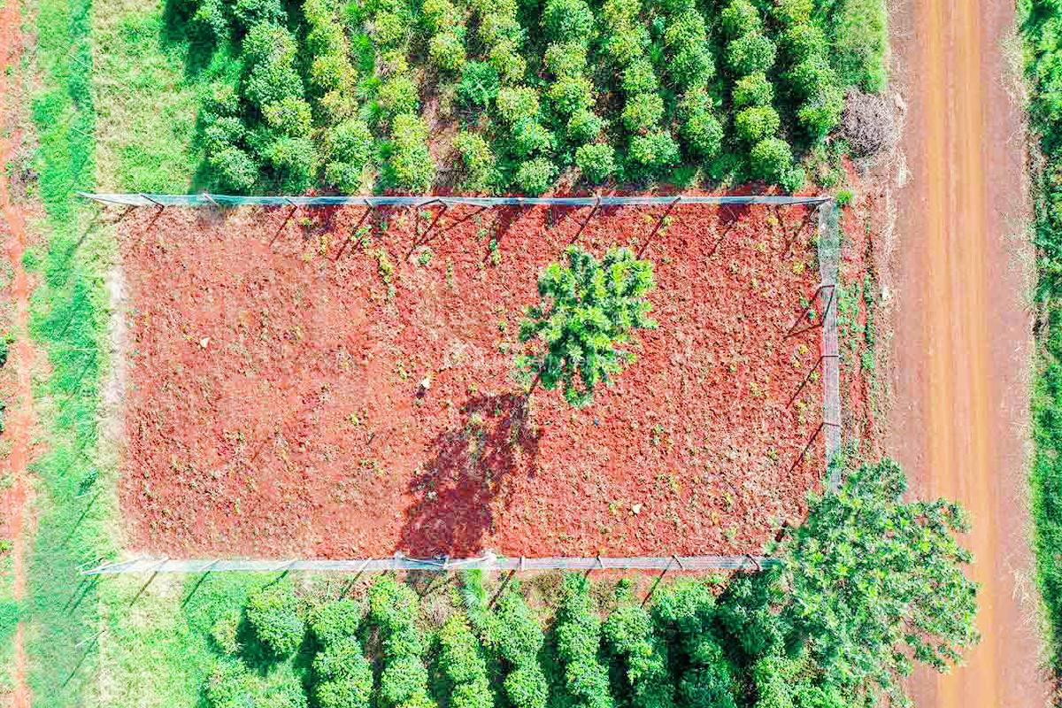 Build Your Dream Home at Oaklands!, Pazuri Park Estate at Oaklands, Ruiru, Kiambu, Residential Land for Sale