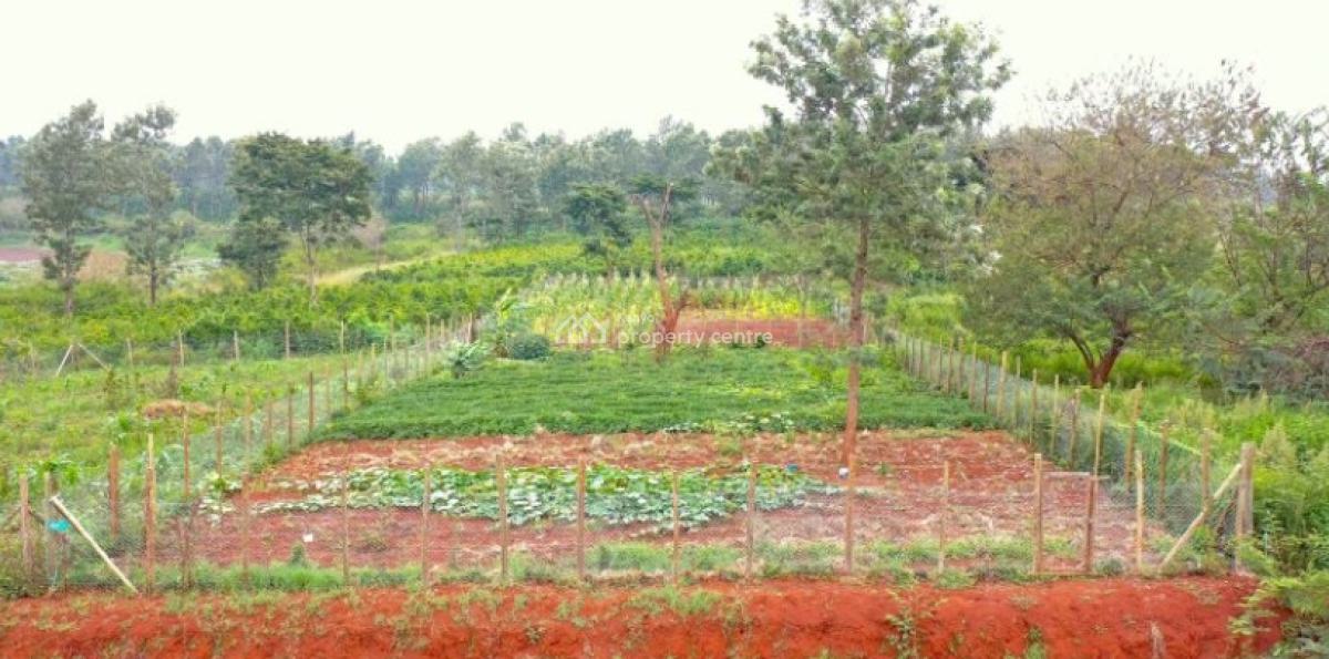 Build Your Dream Home at Oaklands!, Pazuri Park Estate at Oaklands, Ruiru, Kiambu, Residential Land for Sale