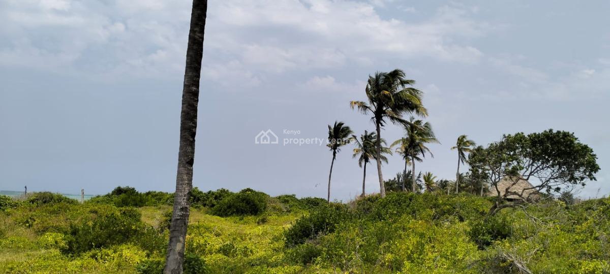 Exclusive 8.4-acre Beachfront Land in Watamu, Jacaranda, Watamu, Kilifi, Mixed-use Land for Sale