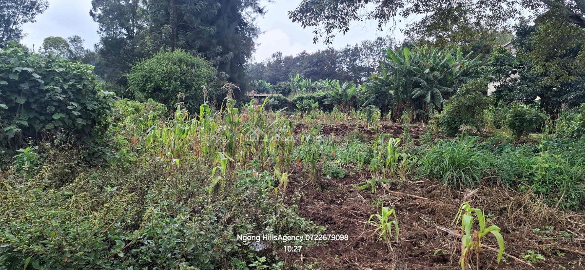 Prime Commercial Plots  in Ngong Town Cbd, Ngong Cbd, Ngong, Kajiado, Commercial Property for Sale