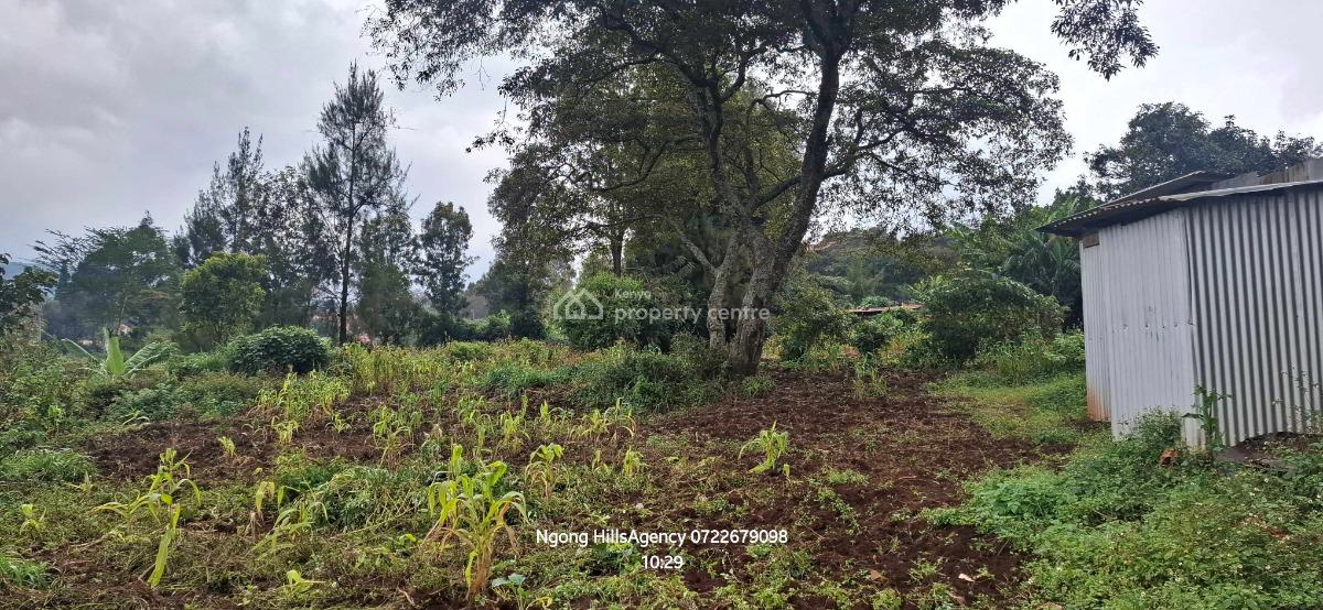 Prime Commercial Plots  in Ngong Town Cbd, Ngong Cbd, Ngong, Kajiado, Commercial Property for Sale