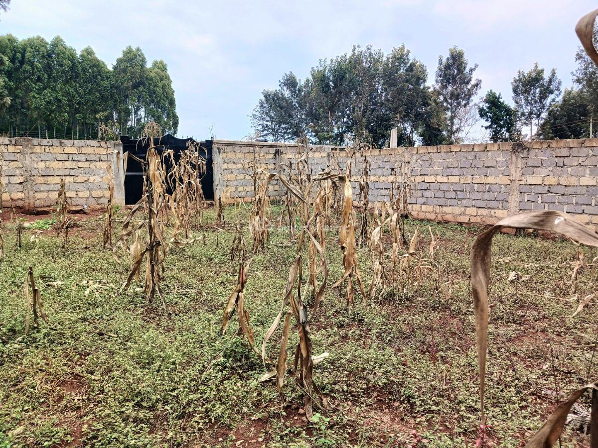 Perimeter Wall -- Mugutha, Ruiru, Mugutha, Ruiru, Ruiru, Kiambu, Residential Land for Sale