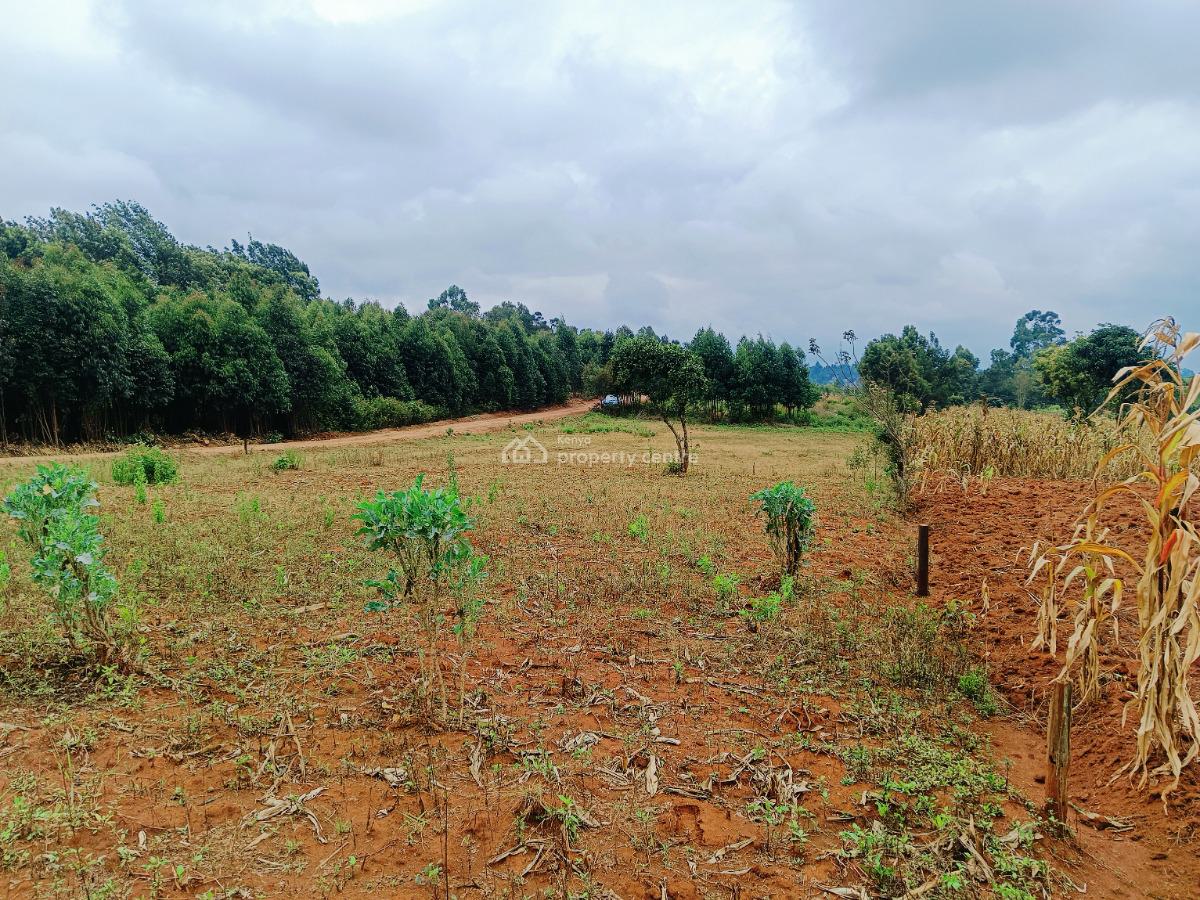 Build Your Dream Home Here!, Nairobi Ndogo, Gikambura, Kikuyu, Kiambu, Residential Land for Sale