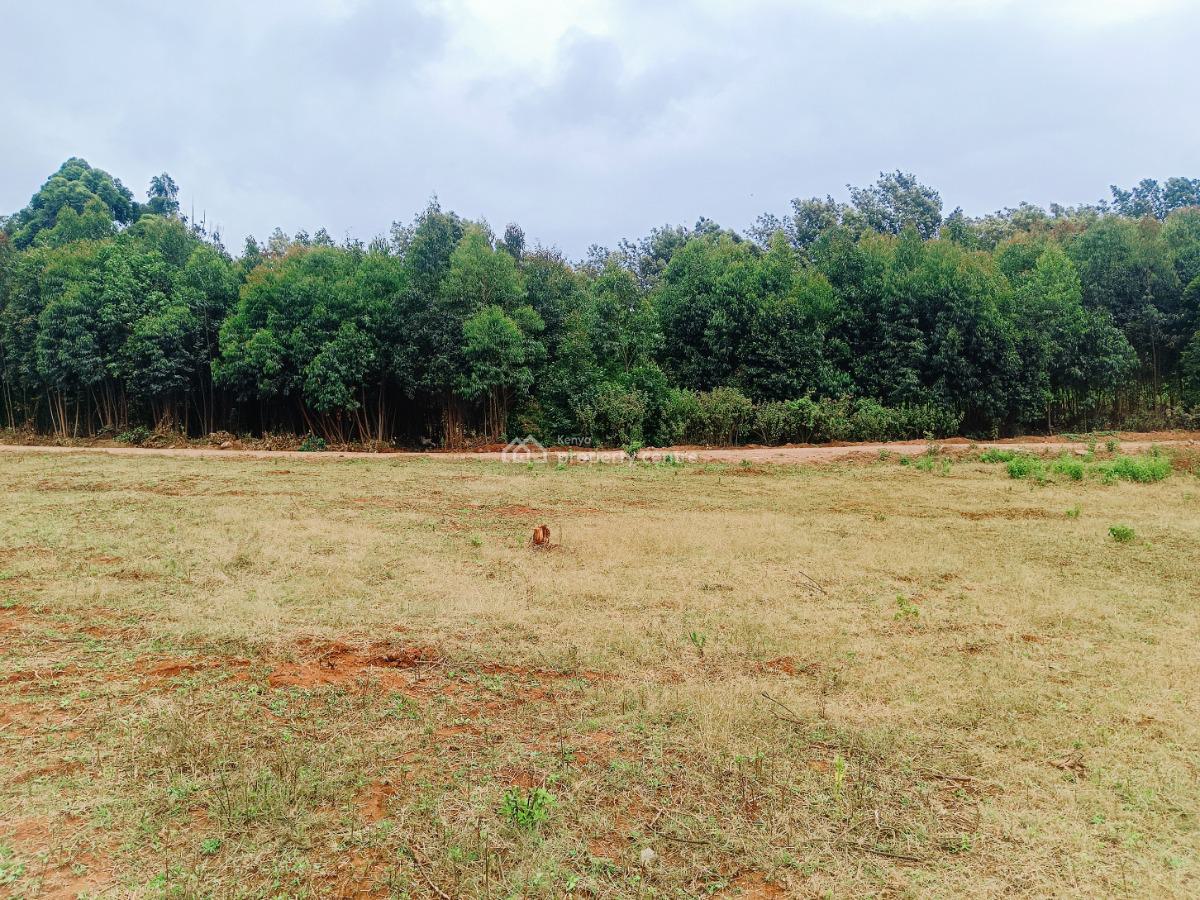 Build Your Dream Home Here!, Nairobi Ndogo, Gikambura, Kikuyu, Kiambu, Residential Land for Sale