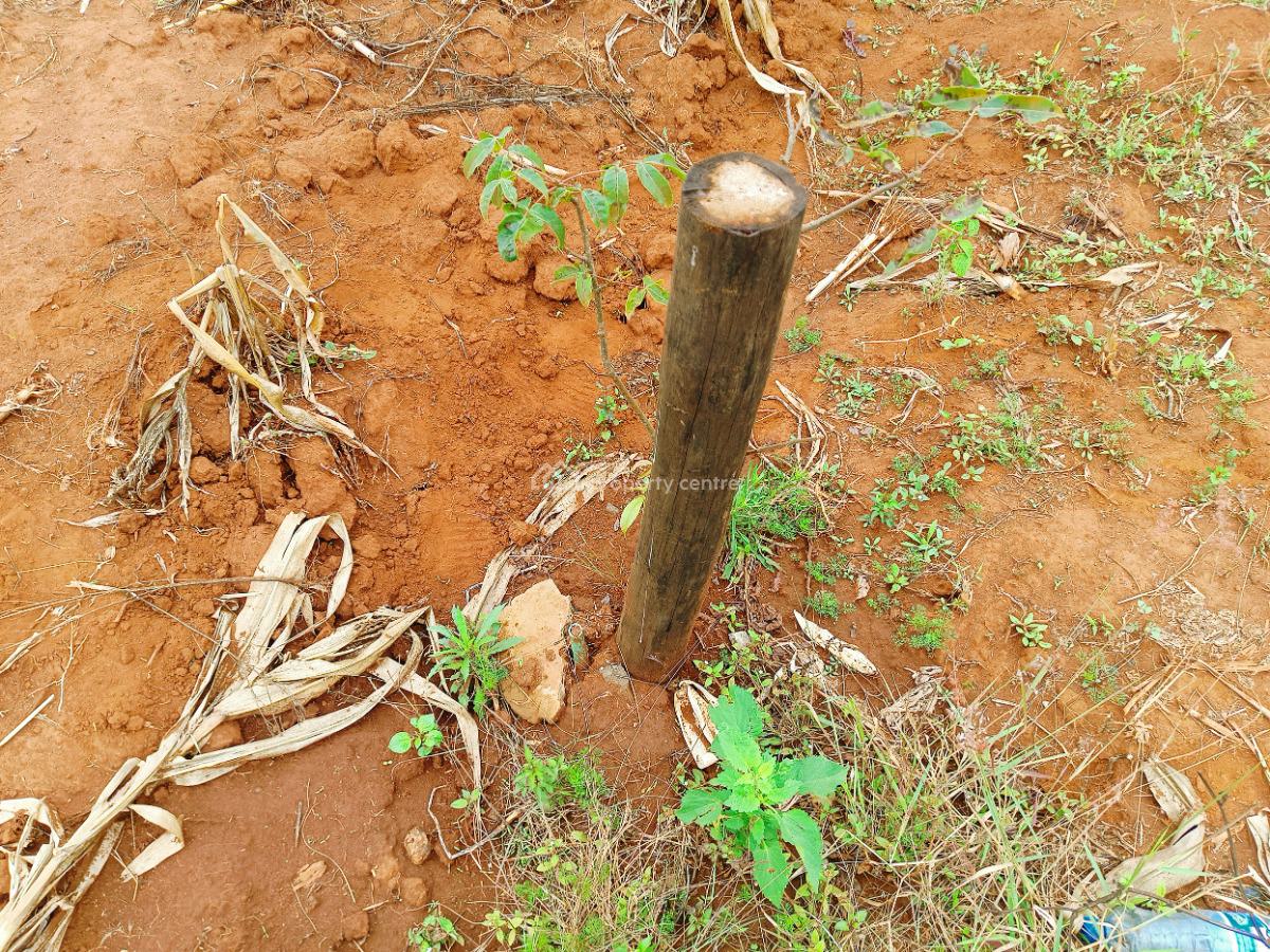 Build Your Dream Home Here!, Nairobi Ndogo, Gikambura, Kikuyu, Kiambu, Residential Land for Sale