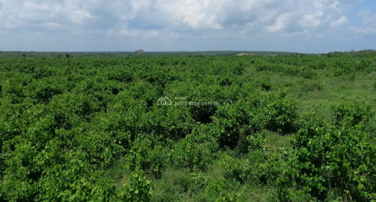 Cool Breeze Malindi, Bagamoyo Highway, Malindi Town, Kilifi, Residential Land for Sale