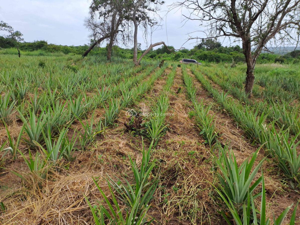 Cool Breeze Malindi, Bagamoyo Highway, Malindi Town, Kilifi, Residential Land for Sale