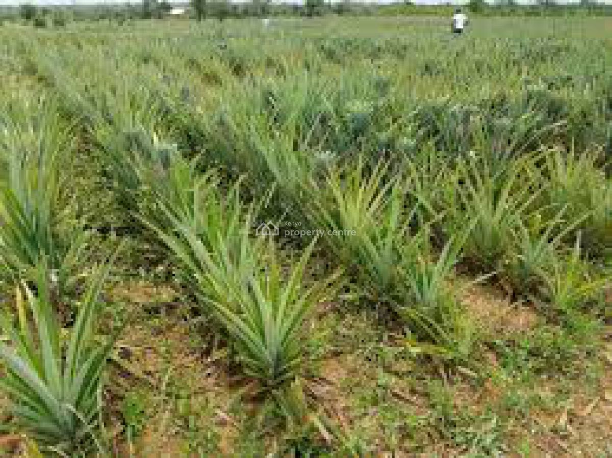 Cool Breeze Malindi, Bagamoyo Highway, Malindi Town, Kilifi, Residential Land for Sale