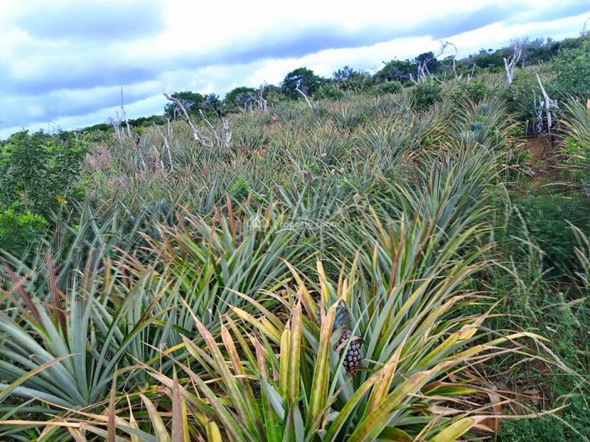 Cool Breeze Malindi, Bagamoyo Highway, Malindi Town, Kilifi, Residential Land for Sale