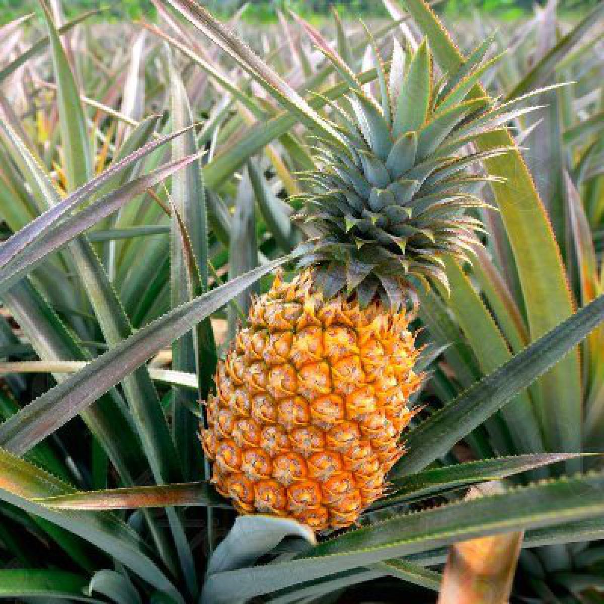 Cool Breeze Malindi, Bagamoyo Highway, Malindi Town, Kilifi, Residential Land for Sale