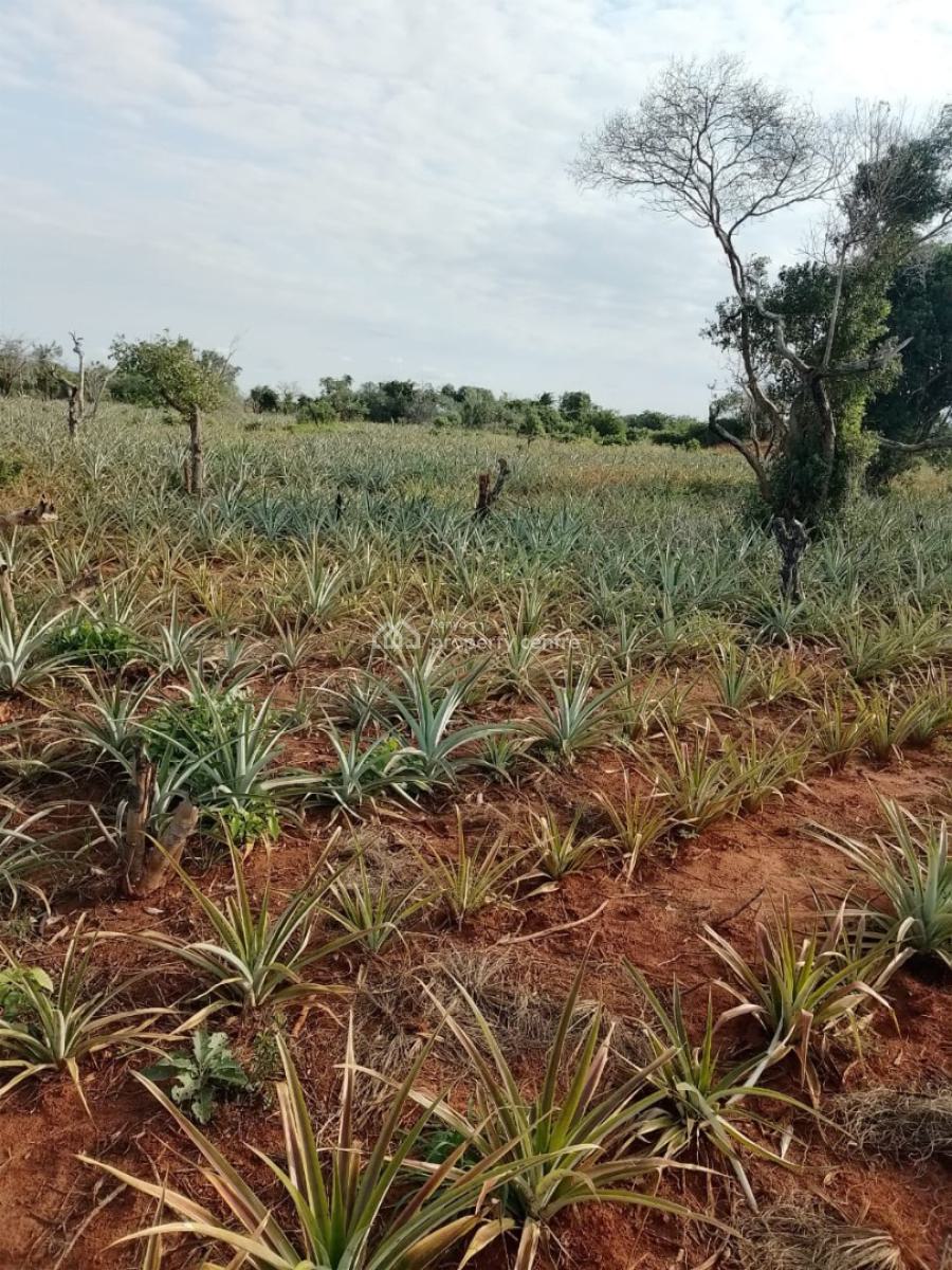 2 Acres Each, 2 Investors, 1 Big Opportunity, Bagamoyo, Malindi Town, Kilifi, Mixed-use Land for Sale