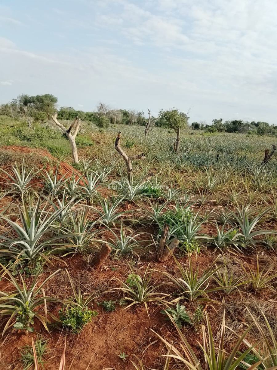 2 Acres Each, 2 Investors, 1 Big Opportunity, Bagamoyo, Malindi Town, Kilifi, Mixed-use Land for Sale
