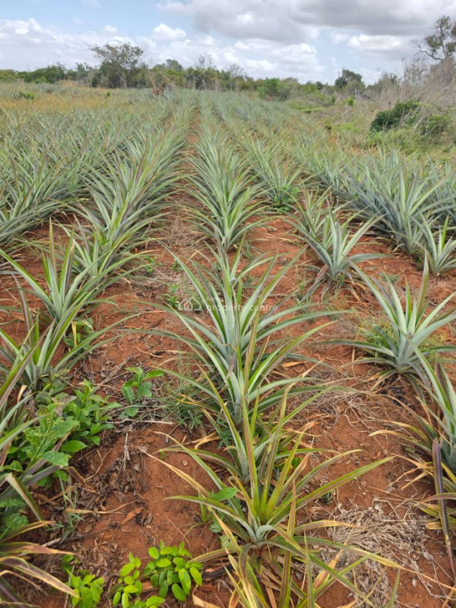 4 Acres -- 4 Investors, Magharini Dakacha, Malindi Town, Kilifi, Mixed-use Land for Sale