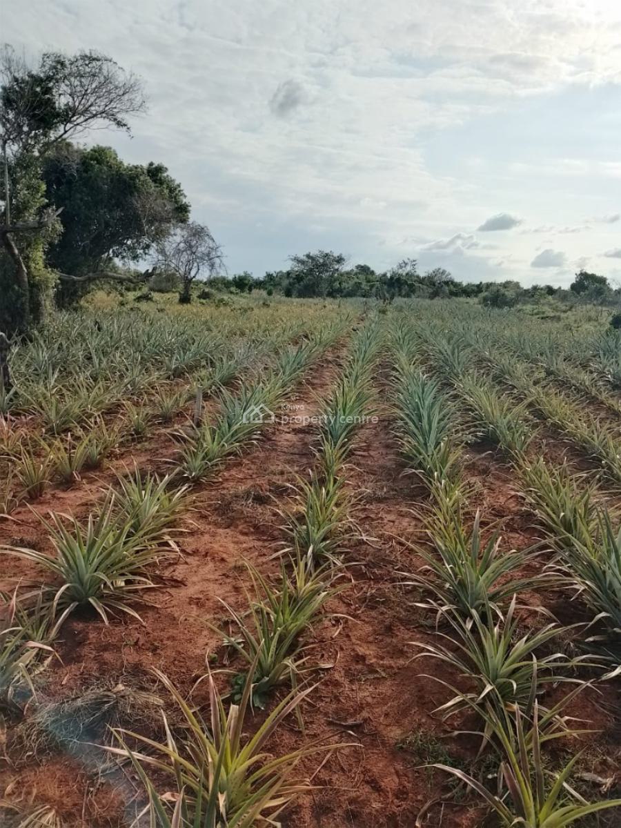 4 Acres -- 4 Investors, Magharini Dakacha, Malindi Town, Kilifi, Mixed-use Land for Sale