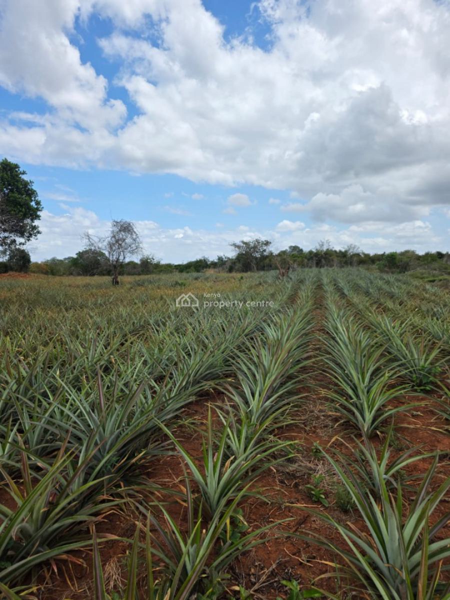 4 Acres -- 4 Investors, Magharini Dakacha, Malindi Town, Kilifi, Mixed-use Land for Sale