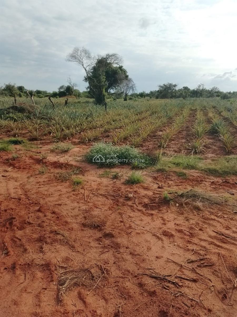 4 Acres -- 4 Investors, Magharini Dakacha, Malindi Town, Kilifi, Mixed-use Land for Sale