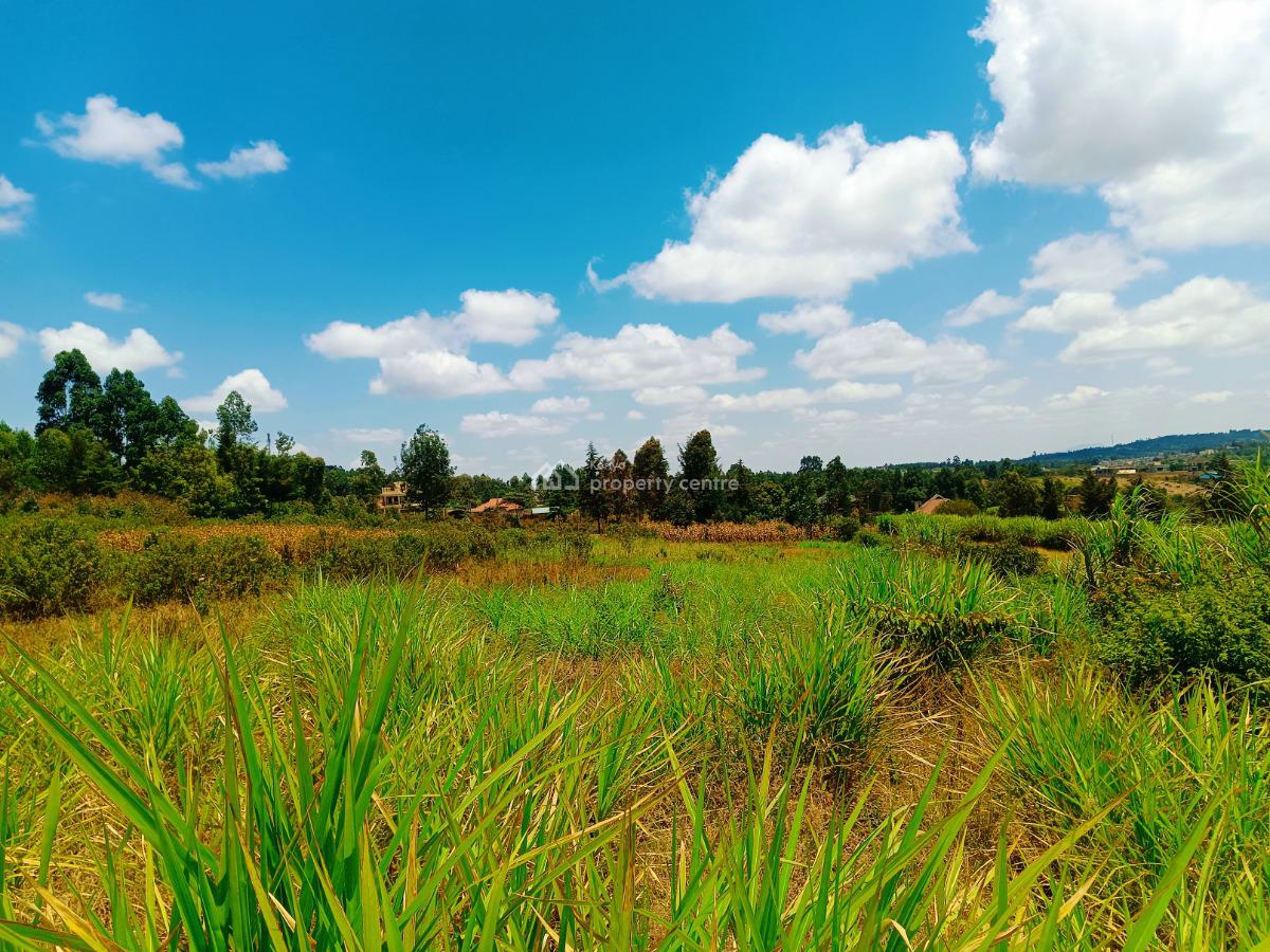 Prime 1/8th --acre Plots Available on Offer in Kikuyu!, Jambu Tv, Gikambura, Kikuyu, Kiambu, Residential Land for Sale
